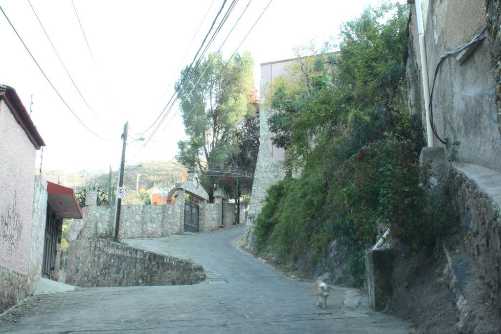 Arquitectos Departamento 11-5 Daire Guanajuato Dış mekan fotoğraf