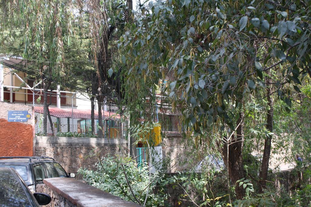 Arquitectos Departamento 11-5 Daire Guanajuato Dış mekan fotoğraf